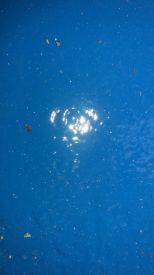 ขายผาน18จานของศรีกำแพงแสนครับ