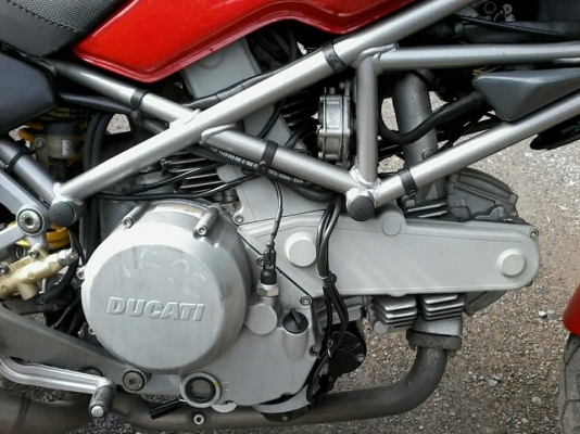 ducati monster ducati monster