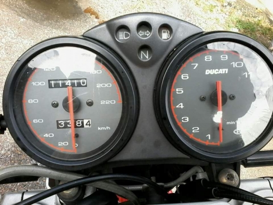 ducati monster ducati monster