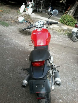 ducati monster ducati monster