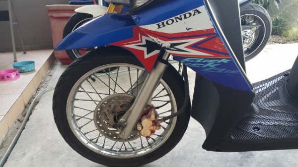 ขาย Honda Click 110 จดทะเบียนปี 50 สตาร์ทไฟฟ้า สภาพดี ขี่สบาย