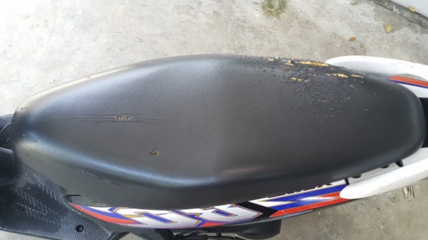 ขาย Honda Click 110 จดทะเบียนปี 50 สตาร์ทไฟฟ้า สภาพดี ขี่สบาย