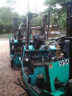 ขายอะไล่โฟลลิฟ