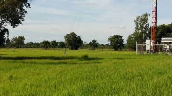 ที่ดินใกล้ถนน