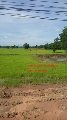 ที่ดินใกล้ถนน