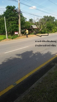 ที่ดินใกล้ถนน
