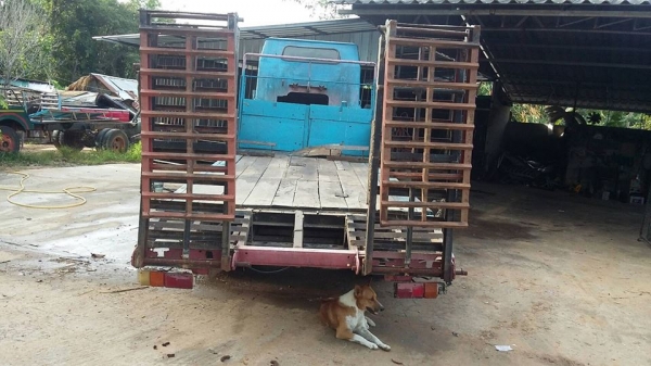 ขายรถเทรลเลอร์ 6ล้อ ย้ายรถเกี่ยวข้าว เครื่อง85แรง ยางใหม่6เส้น สภาพพร้อมใช้งาน ราคา95,000 สนใจโทร 090-8588220คุณนะ 093-3258446คุณบิว หรือเข้าดูสินค้าอื่นๆได้ที่ www.narong2truck.com หรือ www.truck.in.th/498 หรือเพจFacebook ณรงค์ ซื้อขายรถมือสอง (เว็บไซต์ส ขายรถเทรลเลอร์ 6ล้อ ย้ายรถเกี่ยวข้าว เครื่อง85แรง ยางใหม่6เส้น สภาพพร้อมใช้งาน ราคา95,000 สนใจโทร 090-8588220คุณนะ 093-3258446คุณบิว หรือเข้าดูสินค้าอื่นๆได้ที่ www.narong2truck.com หรือ www.truck.in.th/498 หรือเพจFacebook ณรงค์ ซื้อขายรถมือสอง (เว็บไซต์ส