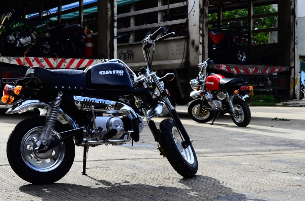 โปรโมชั่นใหม่ที่แสนจะพิเศษ ลดราคาพิเศษ มังกี้ กอลิล่า เดิม!!+สีสันโดนใจ จัดโปรลดพิเศษ ราคาเริ่มที่..