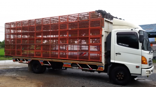 ยกเลิการขายครับ