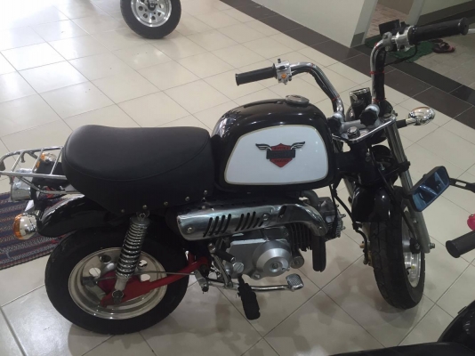 ขายกอลิล่า สีดำ ขายกอลิล่า สีดำ