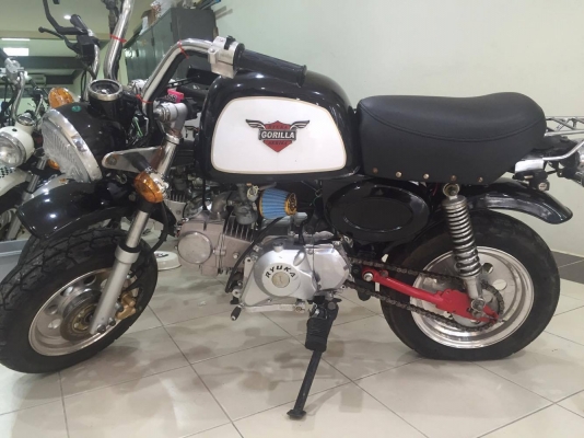 ขายกอลิล่า สีดำ