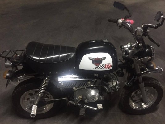 ขายกอลิล่า สีดำ