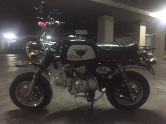 ขายกอลิล่า สีดำ