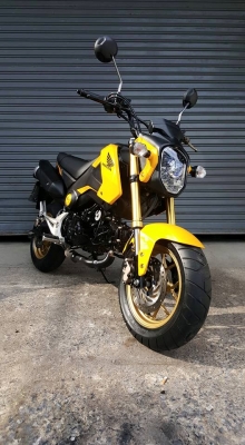 ขออนุญาตขาย HONDA MSX 125 CC. ปี 2016 รถอายุ 5 เดือน วิ่ง 2,XXX KM โอนฟรี