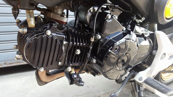 ขออนุญาตขาย HONDA MSX 125 CC. ปี 2016 รถอายุ 5 เดือน วิ่ง 2,XXX KM โอนฟรี