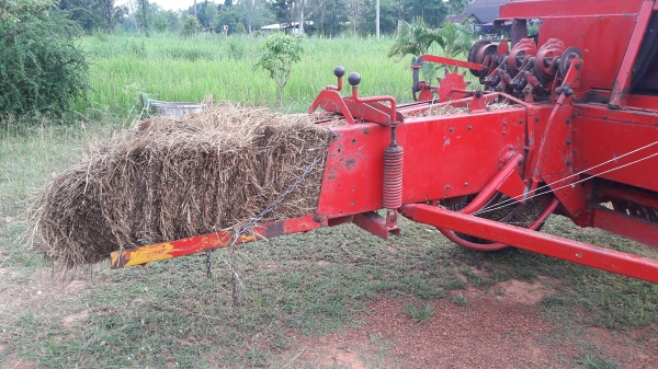 ขายเครื่องอัดฟาง