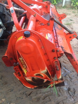 ==>โรตราช้าง 164E สวยๆเดิมๆ ใบเต็ม