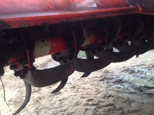 ==>โรตราช้าง 164E สวยๆเดิมๆ ใบเต็ม