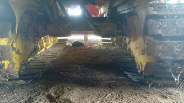 ขายรถเกี่ยวข้าว จ้าวช้างไวไฟ ตัวพิเศษ เครื่อง6M61 รถเดิมจากศูนย์ สภาพดีพร้อมใช้งาน ราคา1,090,000 สนใจโทร 090-8588220คุณนะ 093-3258446คุณบิว หรือเข้าดูสินค้าอื่นๆได้ที่ www.narong2truck.com หรือ www.truck.in.th/498 หรือเพจFacebook ณรงค์ ซื้อขายรถมือสอง (เว