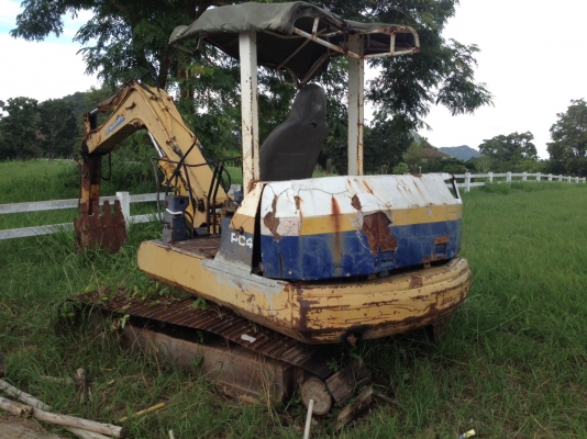 ซากแมคโคด่วน