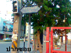 ที่ดินแถมบ้าน2ชั้นผุ