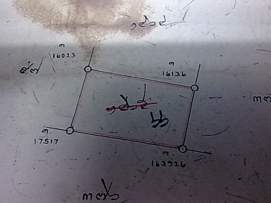 ที่ดินแถมบ้าน2ชั้นผุ