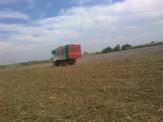 ขายรถมิสซู FUSO บรรทุก 10 ล้อ  2 เพลา ดั้มพร้อมใช้งาน