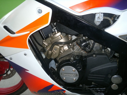 KR ปี 44 เสื้อทอง 1855 ขาย 33000 บาท