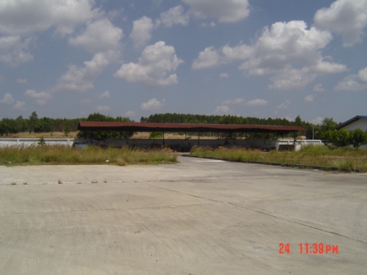 ขายโรงงานอุตสหกรรมสับปะรดกระป๋องและผลไม้ต่างๆๆ