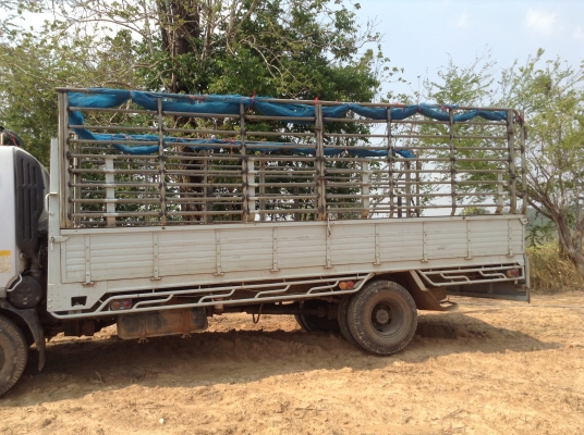 ขายกะบะคาโก้พร้อมคอกแป๊บอย่างดี