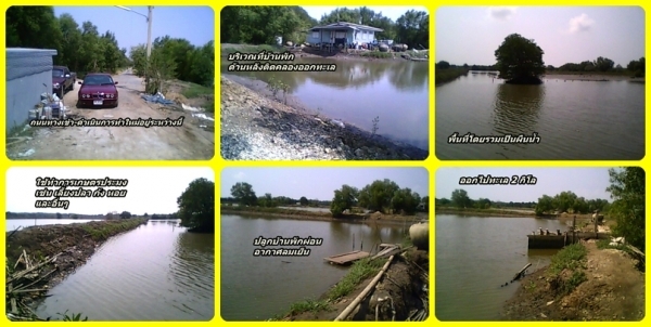 ด่วนขายที่ดิน13ไร่บางปูสำหรับเลี้ยงปลาปูกุ้ง