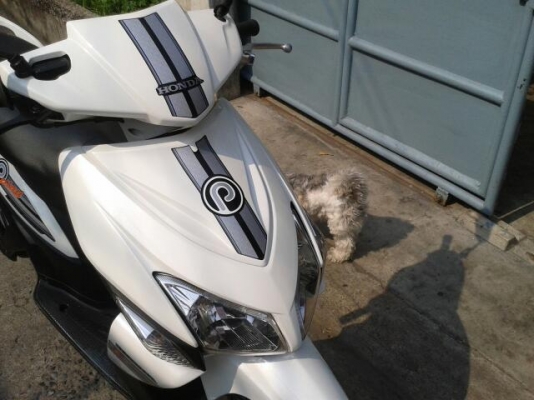 ขาย Click ปี49 สวยๆ ถูก ๆ