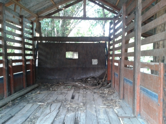 ขาย 6 ล้อ ISUZU NPR 115 รถห้างแท้ตัวแรก เครื่องดี คัซซีสวยมากตลอดเส้น