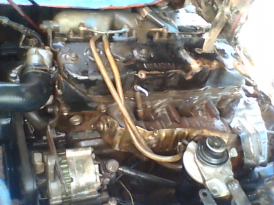 รถ TL ดั๊มเกษตร เครื่อง 110 เกียร์ 110 เฟืองท้าย 110 เครื่องแน่น ครัชชีสวย รถ TL ดั๊มเกษตร เครื่อง 110 เกียร์ 110 เฟืองท้าย 110 เครื่องแน่น ครัชชีสวย