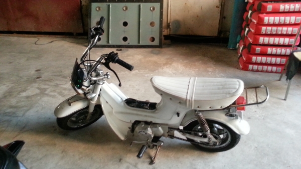 เพื่อนฝากขายชาลีสวยๆ