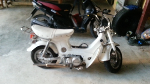 เพื่อนฝากขายชาลีสวยๆ