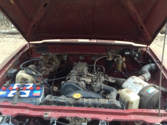 ขายม้าดำโตโยต้า