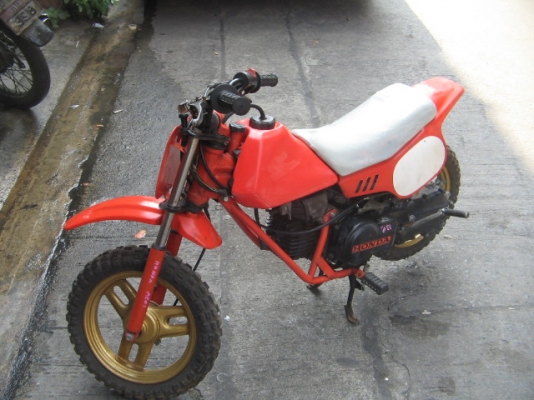 ขาย Honda QR 50 cc วิบากเล็กสภาพดี ราคา 19,500 ขาย Honda QR 50 cc วิบากเล็กสภาพดี ราคา 19,500