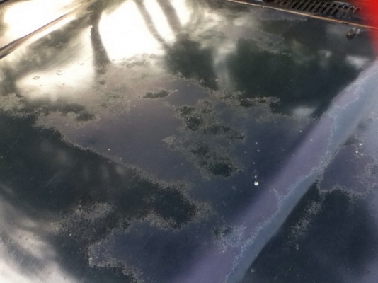 ***ขายแล้วครับขอบคุณ Truck2hand ขาย กระบะตอนเดียว TOYOTA HILUX MIGHTY-X ปี33/90 เครื่องเดิม2L 2.5 แรงดี แห้ง ฟิตมาใหม่  ช่วงล่างคัสซีสวย ไม่ผุ ไม่ดาม ภายในดี คอนโซลดี เบาะไม่ขาด แอร์ พ.ธรรมดา  หน้า-หัลงเดิมไม่เคยชนหนัก สีดี มีต้องเก็บเพิ่มบางชิ้น ยางดี4เส