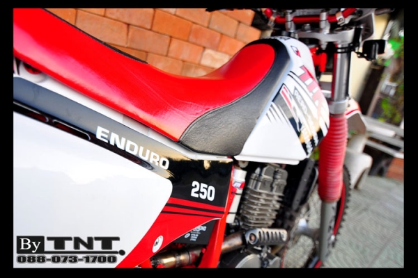 <TNT>ขาย YAMAHA  TTR 250 cc.( ENDURO ) 1สูบ ปี95 /ทะเบียนแท้/..สวยๆ>>>คับ