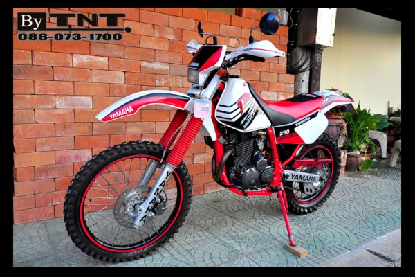 <TNT>ขาย YAMAHA  TTR 250 cc.( ENDURO ) 1สูบ ปี95 /ทะเบียนแท้/..สวยๆ>>>คับ