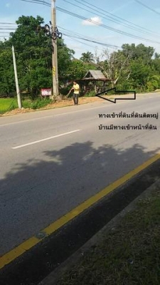 ขายที่นาใกล้ถนนสุวรรณศร