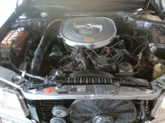 หลุดจอง  ลงขายใหม่  W126 560sel สภาพสวย