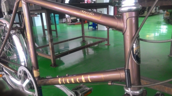 ขายจักรยาน bianchi merlo