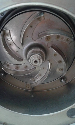 ไดโว่ EBARA 1.5" ไฟ 220 โวล์ 1 HP สแตนเลส