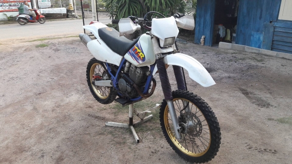 1997ttr250