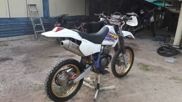 1997ttr250