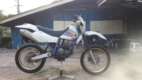 1997ttr250