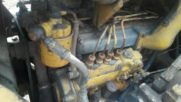 ขายโคมัสสุ รุ่น5