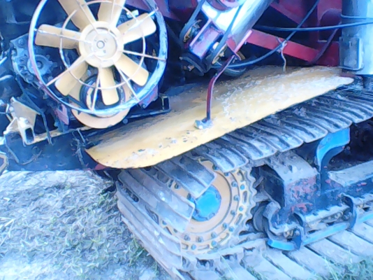 ไอ้หนุ่ม 6HE BO ใบแมคโครไหม่ ไอ้หนุ่ม 6HE BO ใบแมคโครไหม่